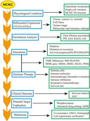 Multi-Omics Analysis of MCM2 as a Promising Biomarker in Pan-Cancer